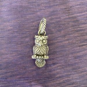 Retired Brighton Owl Charm